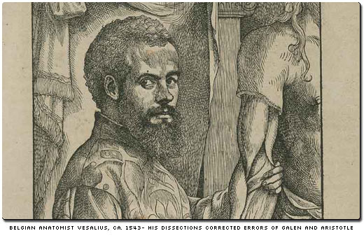 vesalius